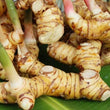Local Organic Thai Ginger [Galangal Root] - order price / 500 grams