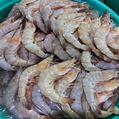 Fresh Shrimp [Suahe] Large size - order price / 500 grams