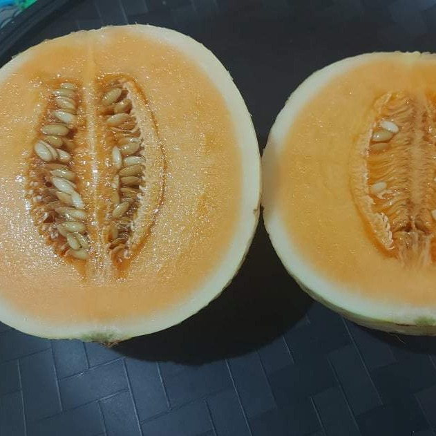 Fresh Local Cantaloupe [Melon] order price / kilo minimum weight 1-2kls each fruit.