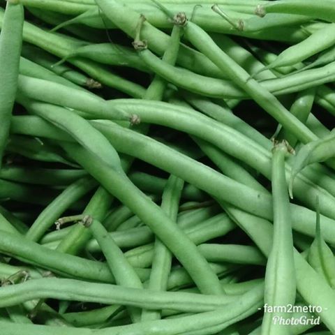 Organic French Beans (order price / 500grams) - Farm2Metro