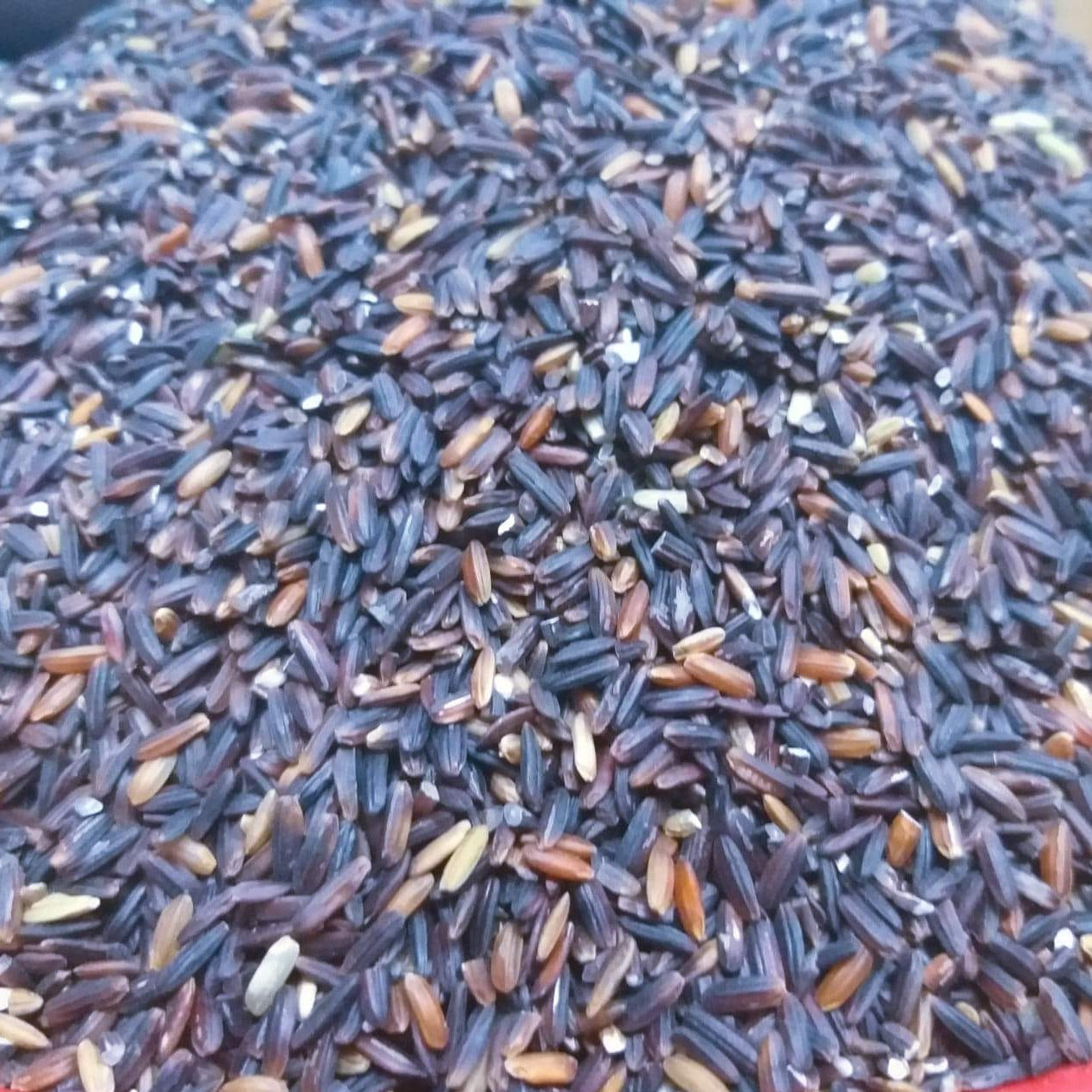 Black Rice From The Cordilleras - wholesale order price / kilo (Minimum 5 kilos) - Farm2Metro