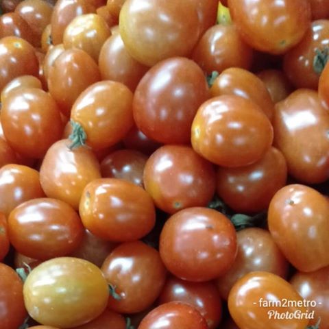 Fresh Organic Cherry Tomatoes (order price/250 grams) - Farm2Metro