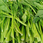 Fresh Organic Choysum - order price / 250 grams - Farm2Metro