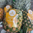Fresh Dole Pineapple Large - order price / piece