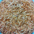 Dried Hipon(Dried shrimps) - 訂貨價 / 250 克