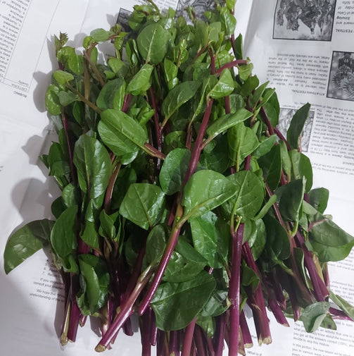 Fresh Malabar Spinach [Alugbati Leaves] - order price/kilo – Farm2Metro