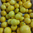 Local Organic Lemon - order price / 500 grams