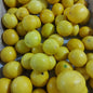 Local Organic Lemon - order price / piece