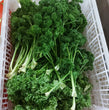 Local Organic Curly Parsley - order price / 500 grams