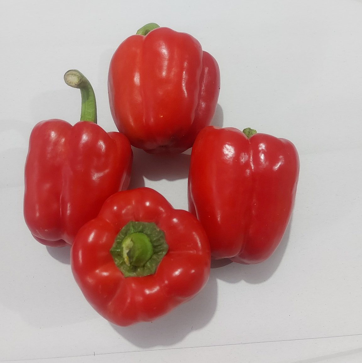 Fresh Imported Red Capsicum - order price / 500 grams