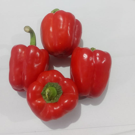 Fresh Imported Red Capsicum - order price / 500 grams
