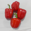 Fresh Imported Red Capsicum - order price/ 250 grams