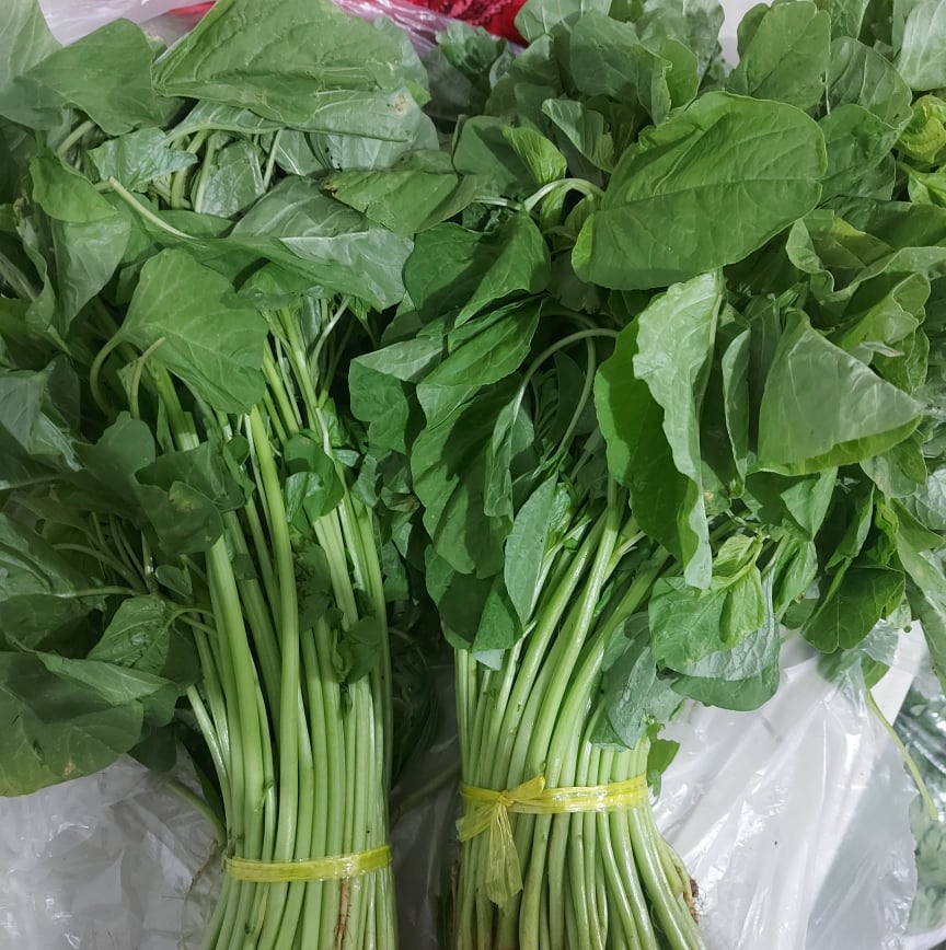 Fresh Organic Spinach/Kolitis [タガログ語] - 注文価格 / 500 グラム