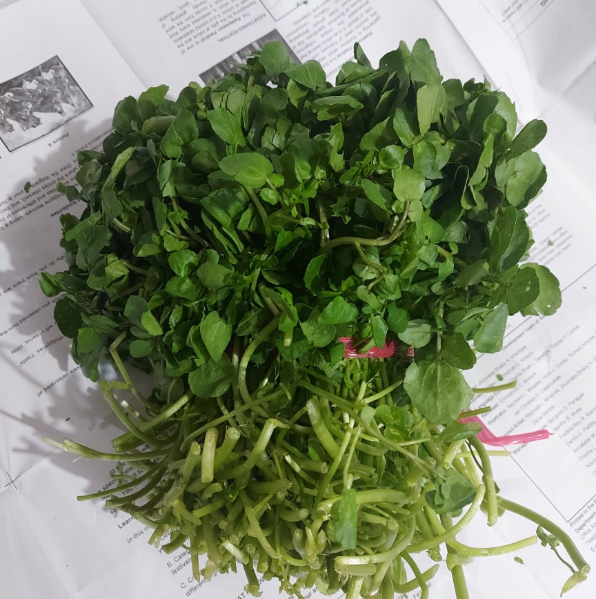 Fresh Organic Watercress | watercres - order price / approx 750g - 1kg