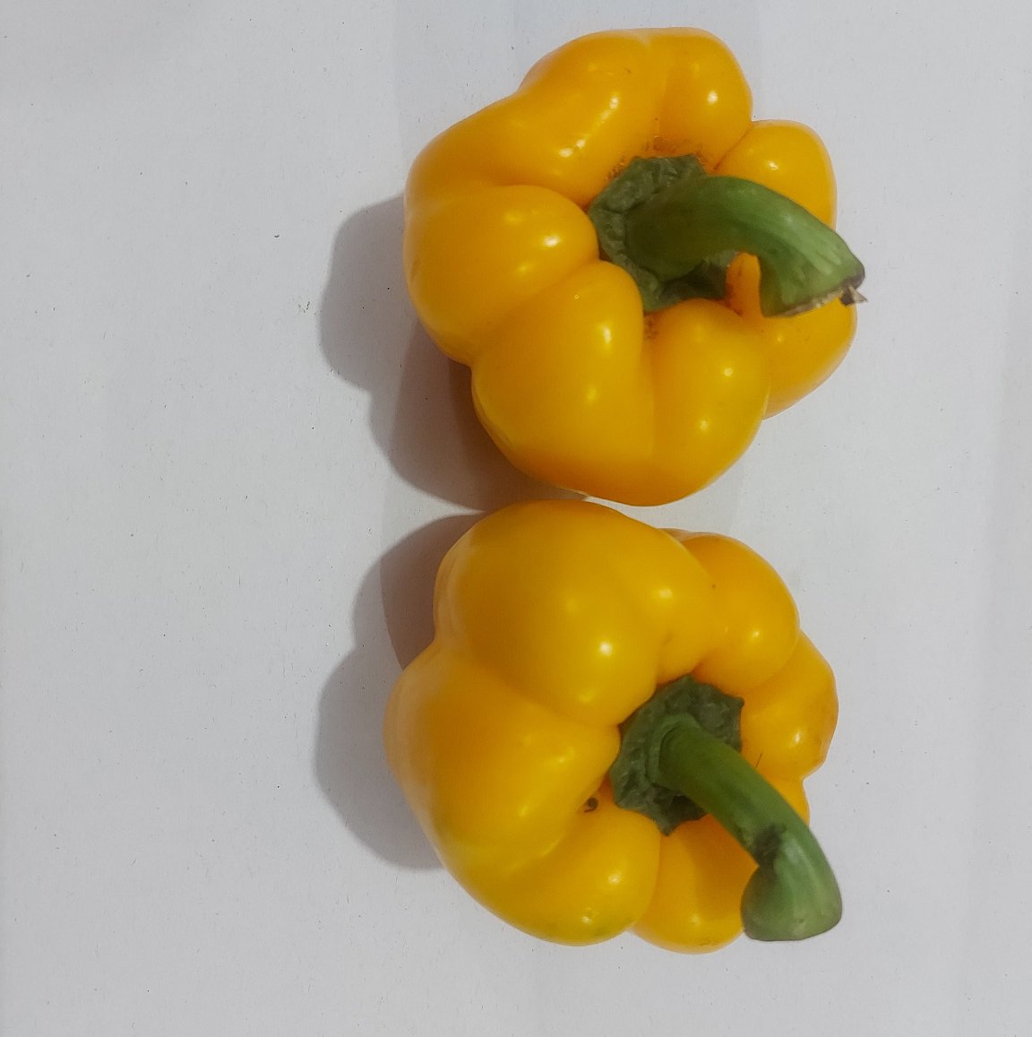 Fresh Imported Yellow Capsicum - order price/ 500 grams