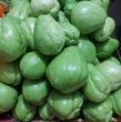 Fresh Local Organic Chayote | Sayote - order price / kilo