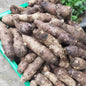 Local Organic Taro [Gabi | Gabė] - order price / 250 grams