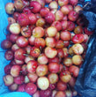 Fresh Sweet Golden Rainier Cherry - order price / 500 grams