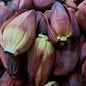 Fresh Banana Blossom med | large [Puso ng Saging]- order price / piece