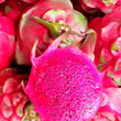 Dragon Fruit (Pitaya) Red Flesh - order price / kilo - Farm2Metro