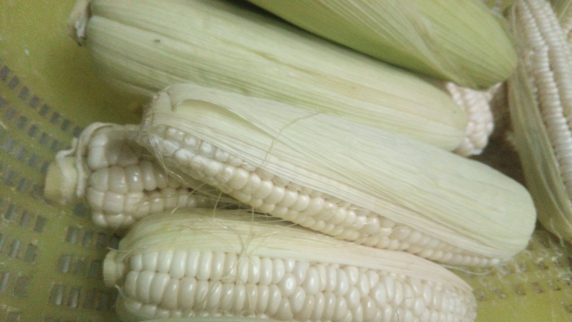 Native White Corn (order price/ per kilo) - Farm2Metro