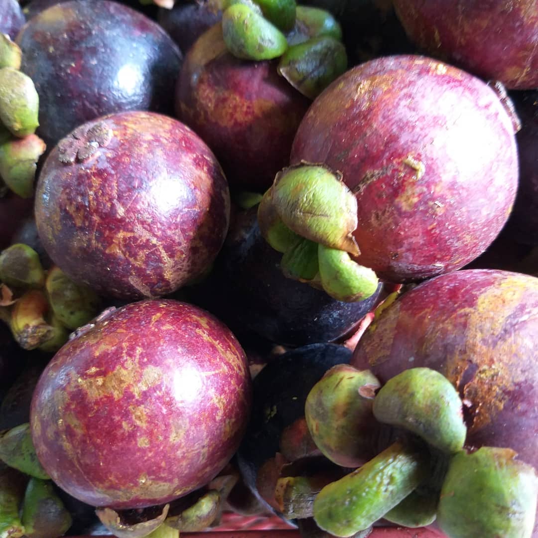 Fresh Davao Mangosteen - order price / 500 grams - Farm2Metro