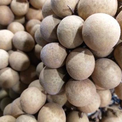 Fresh Longgans - order price / kilo - Farm2Metro