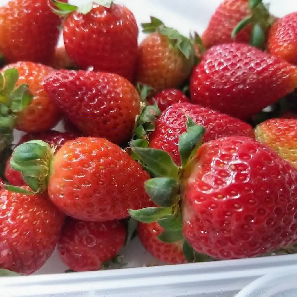 Fresh Local Strawberry - order price / kilo - Farm2Metro