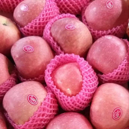 Fuji Apple [Big] - order price / piece