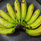 Fresh Local [Lakatan | Lacatan] Banana - order price / kilo