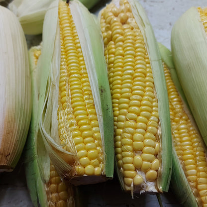 Natural Sweet Yellow Corn - order price / 500 grams