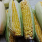 Natural Sweet Yellow Corn - order price / 500 grams