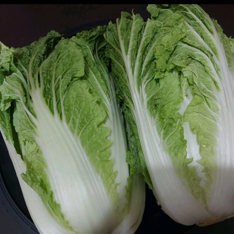 Fresh Local Organic Pechay | Petchay Baguio [Wombok|Napa|Chinese Cabbage] - order price / kilo