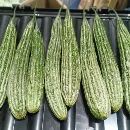 Local Organic Ampalaya [Bitter Gourd] - order price / piece