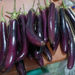 Organic Eggplant [Talong Haba] - order price / 250 grams