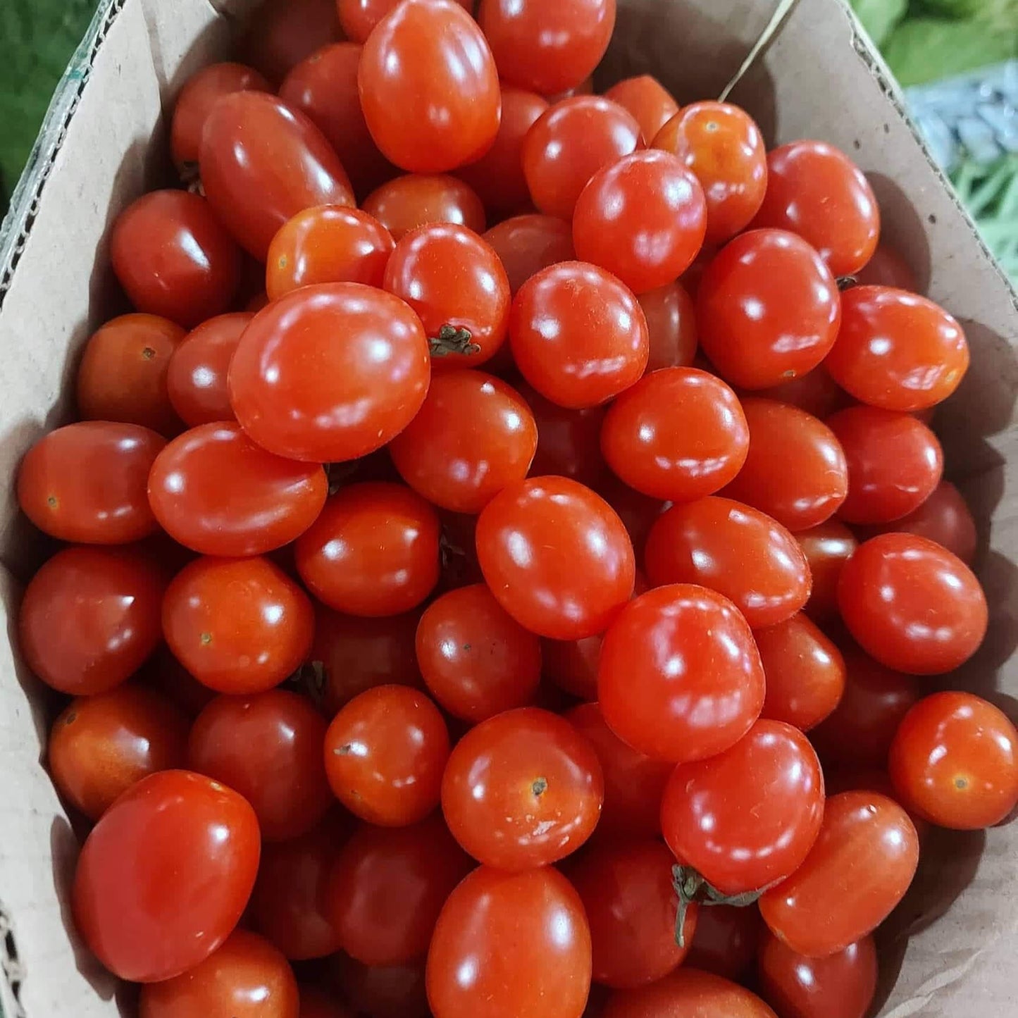 新鮮本地有機櫻桃番茄 - 訂購價 / 250 克
