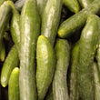 Japanese Cucumber Kyuri (order price/500 grams) - Farm2Metro