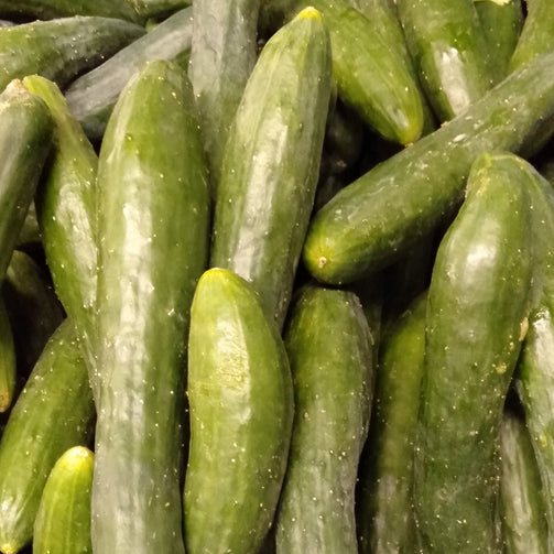 Japanese Cucumber (KYURI) order price/kilo - Farm2Metro