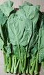 Fresh Organic Kale KAYLAN / KAILAN (Chinese Broccoli) - order price / 250 grams