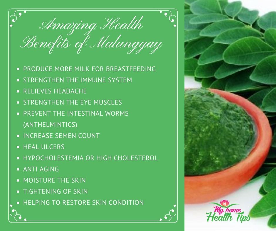 Fresh Malunggay Leaves (order price / 500 grams) - Farm2Metro