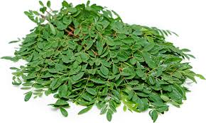 Fresh Malunggay Leaves (order price / 500 grams) - Farm2Metro