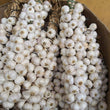 Organic Native Garlic [Bawang] - order price / 250 grams
