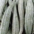 Sponge Gourd (Patola) order price/kilo - Farm2Metro