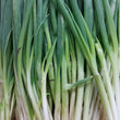 Fresh Local Organic Onion Leeks | Scallions - order price / 500 grams