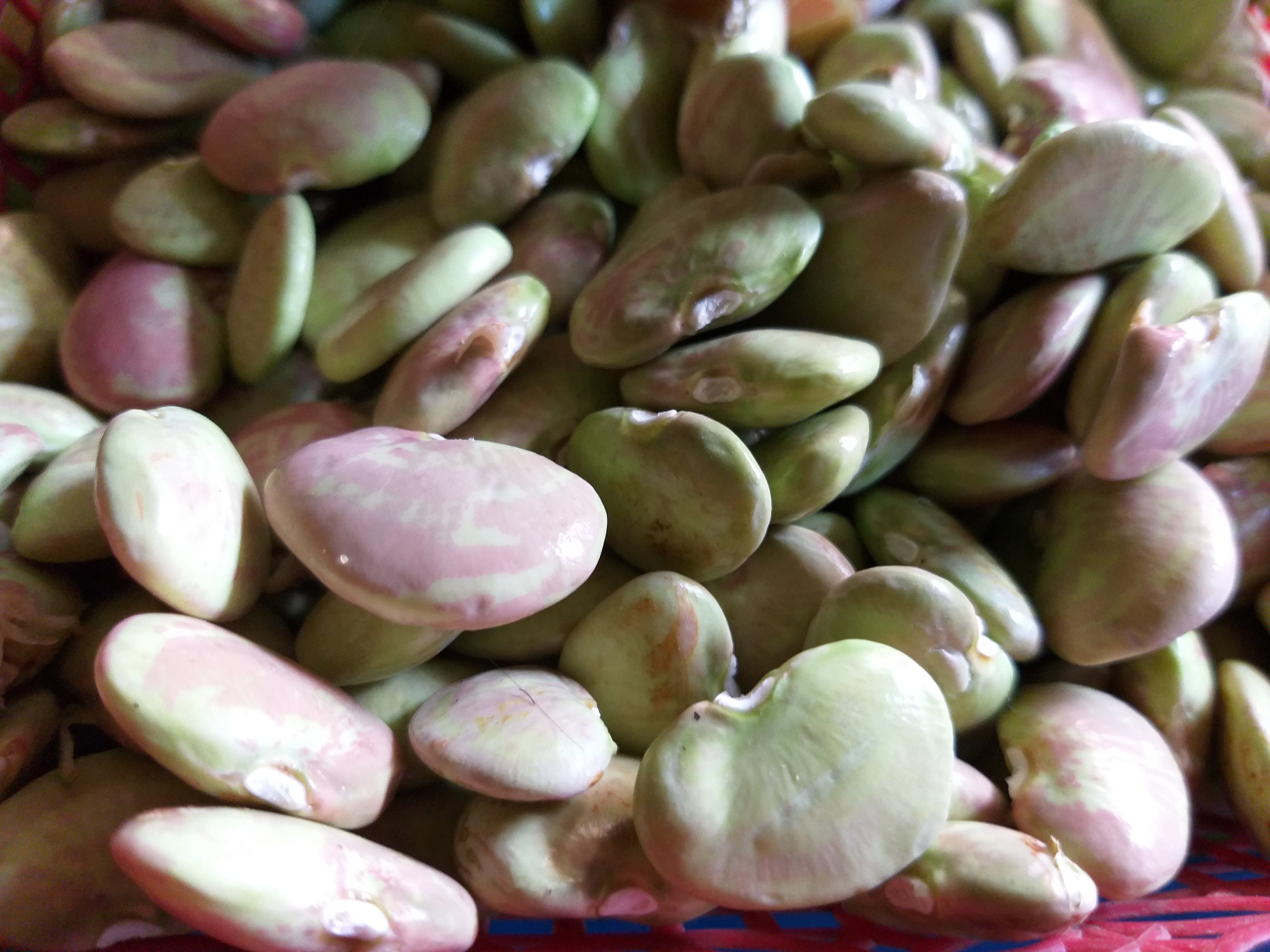 Natural Kidney Beans (Patani) order price/250 grams - Farm2Metro