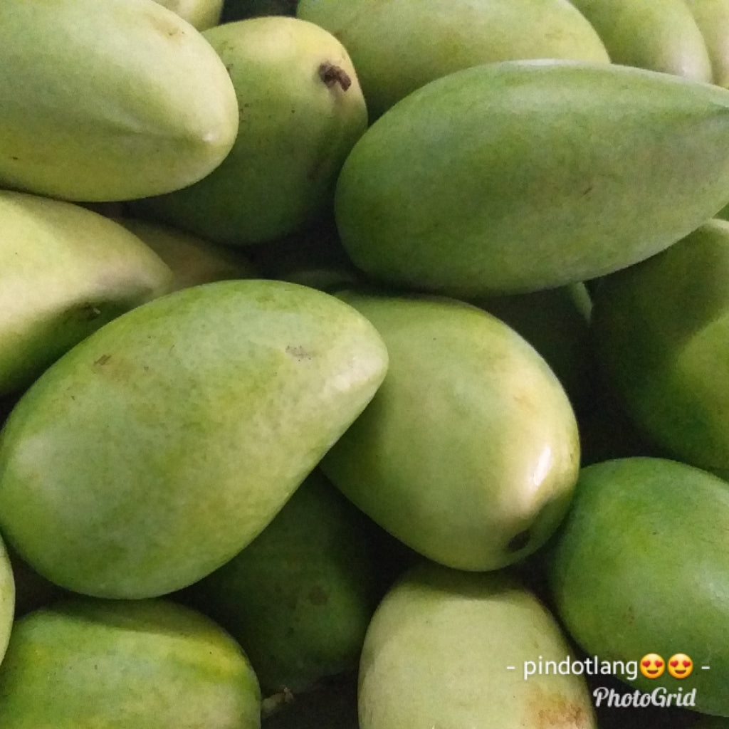 Fresh Davao Green Mangoes Wholesale Price - per box - Farm2Metro