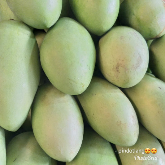 Fresh Davao Green Mangoes Wholesale Price - per box - Farm2Metro