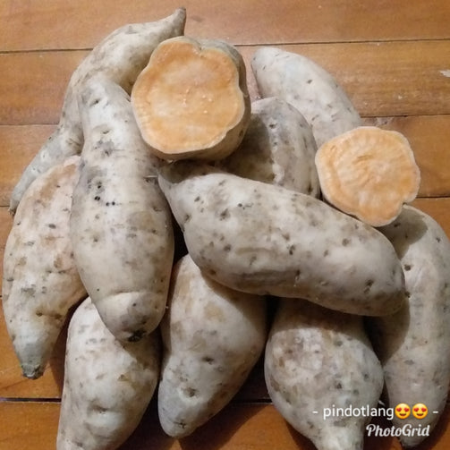 Local Organic Sweet Potato - order price / 500 grams - Farm2Metro