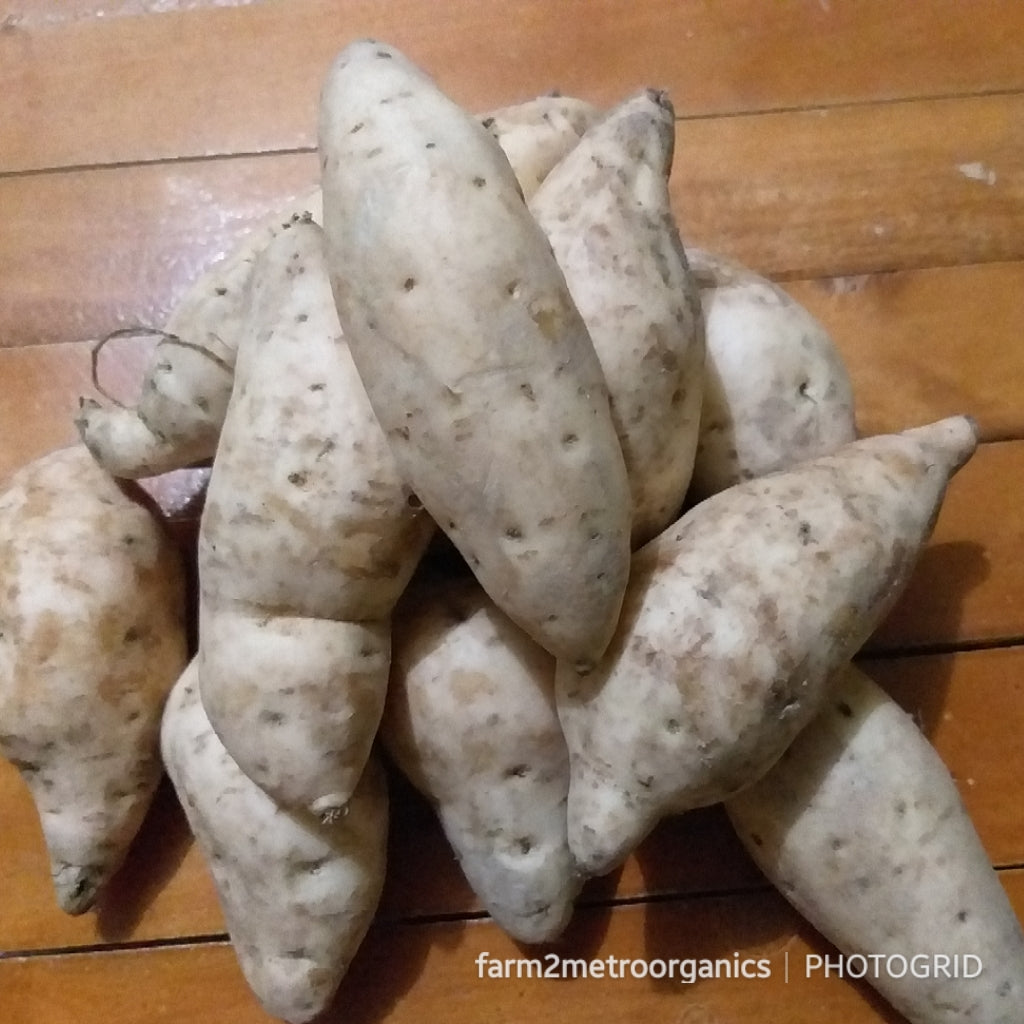 Local Organic Sweet Potato - order price / 500 grams - Farm2Metro