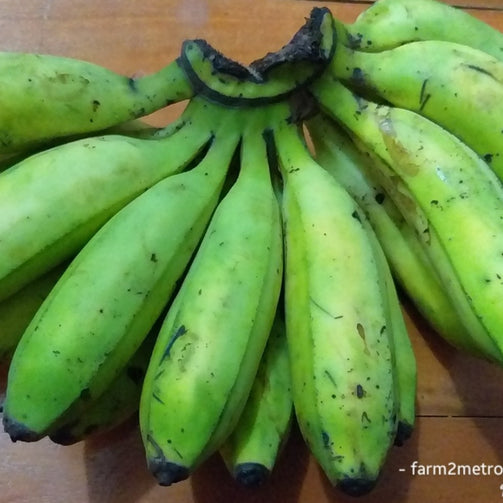 Fresh Local Banana (Latundan) - order price / kilo - Farm2Metro